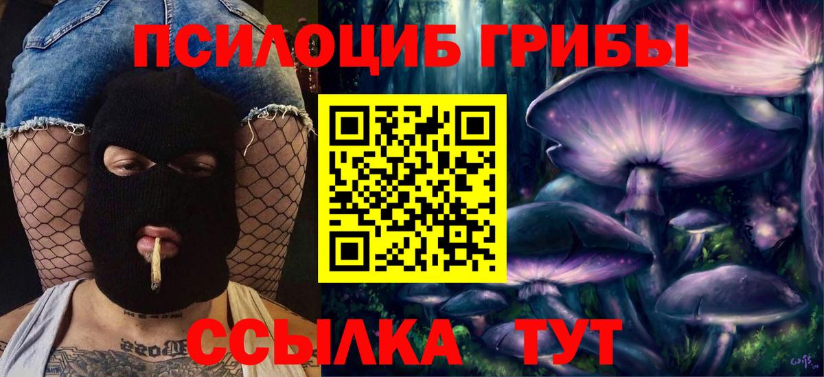 Гулькевичи  Псилоцибиновые грибы Cubensis  Вход с VPN  Галлюциногенные грибы Cubensis 